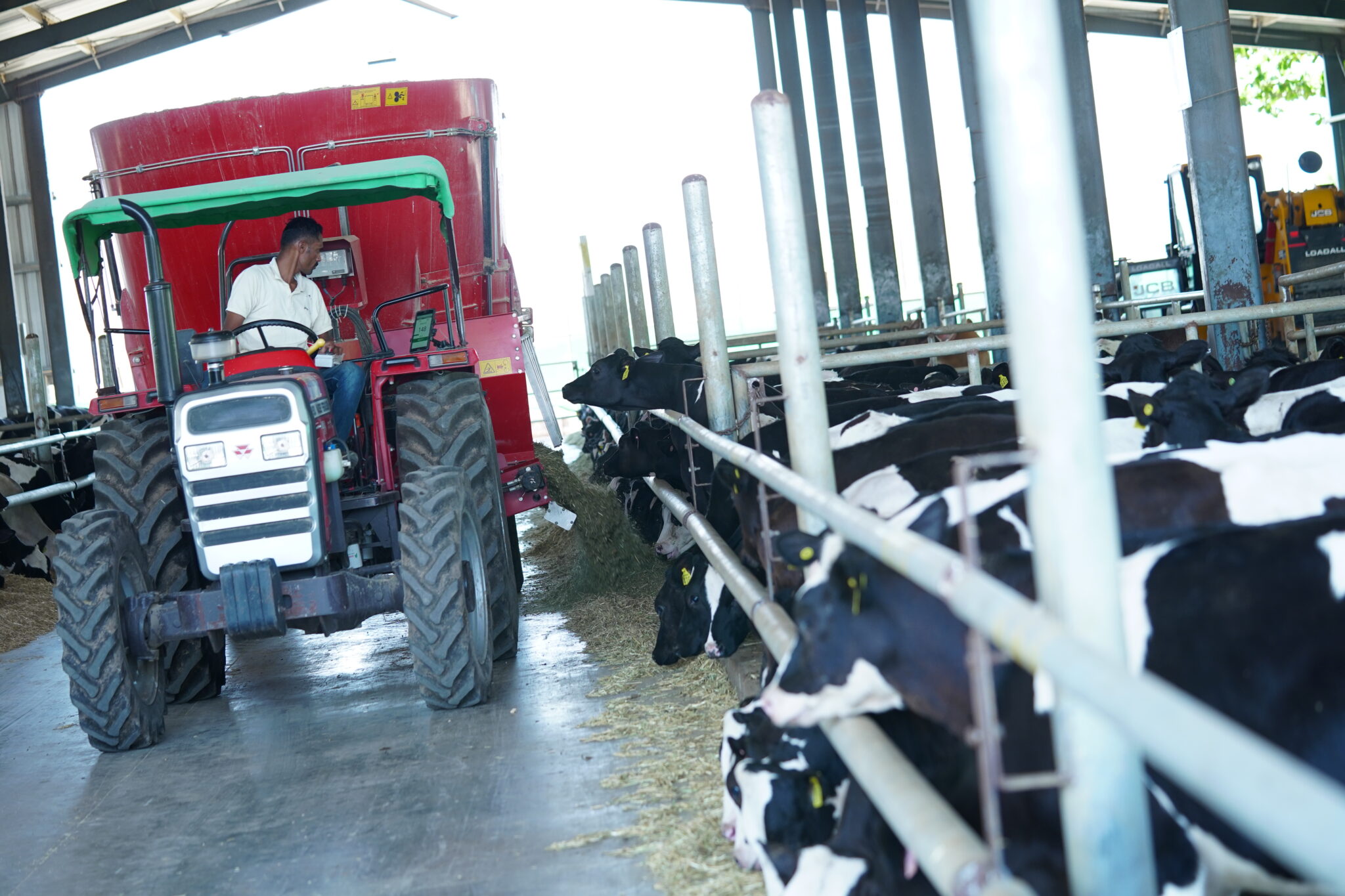 Dairy Farming Management Solution Dairy Farming Consultation dairy-farming-management-solution-dairy-farming-consultation