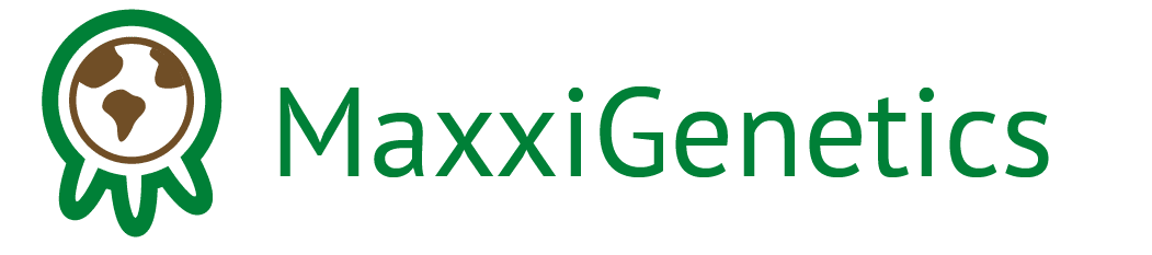 MaxxiG v2.2