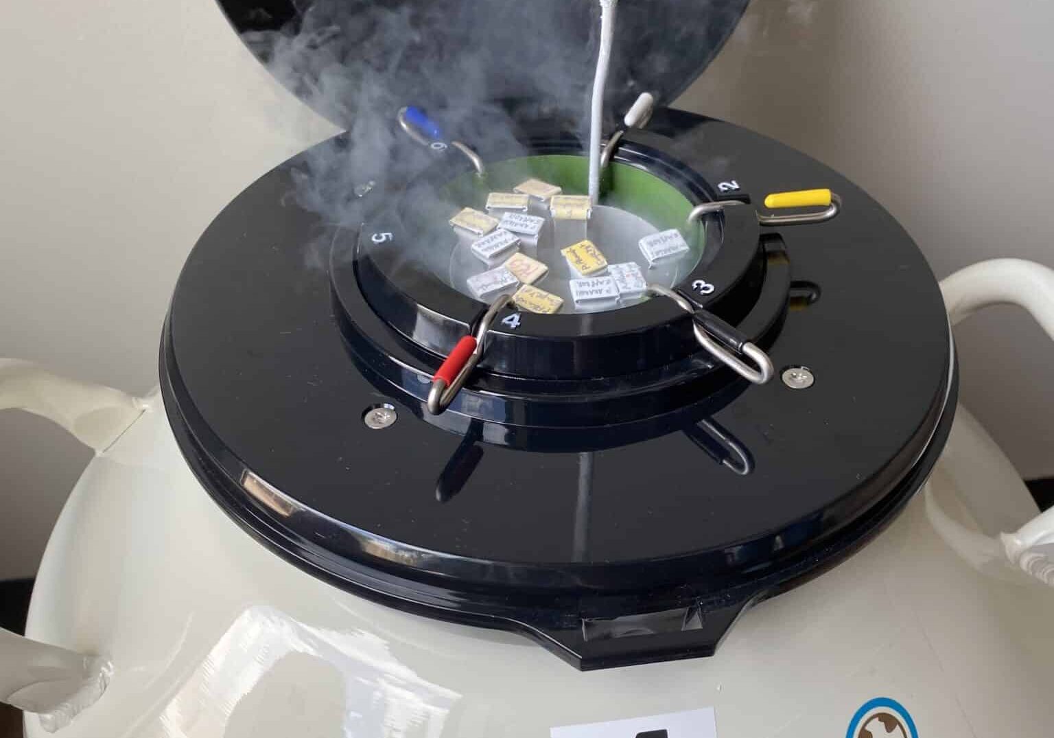 The Science - Embryo Cryopreservation The Science - Embryo Cryopreservation